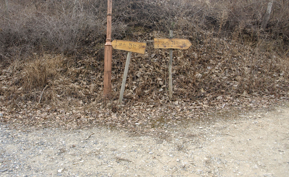 587.JPG