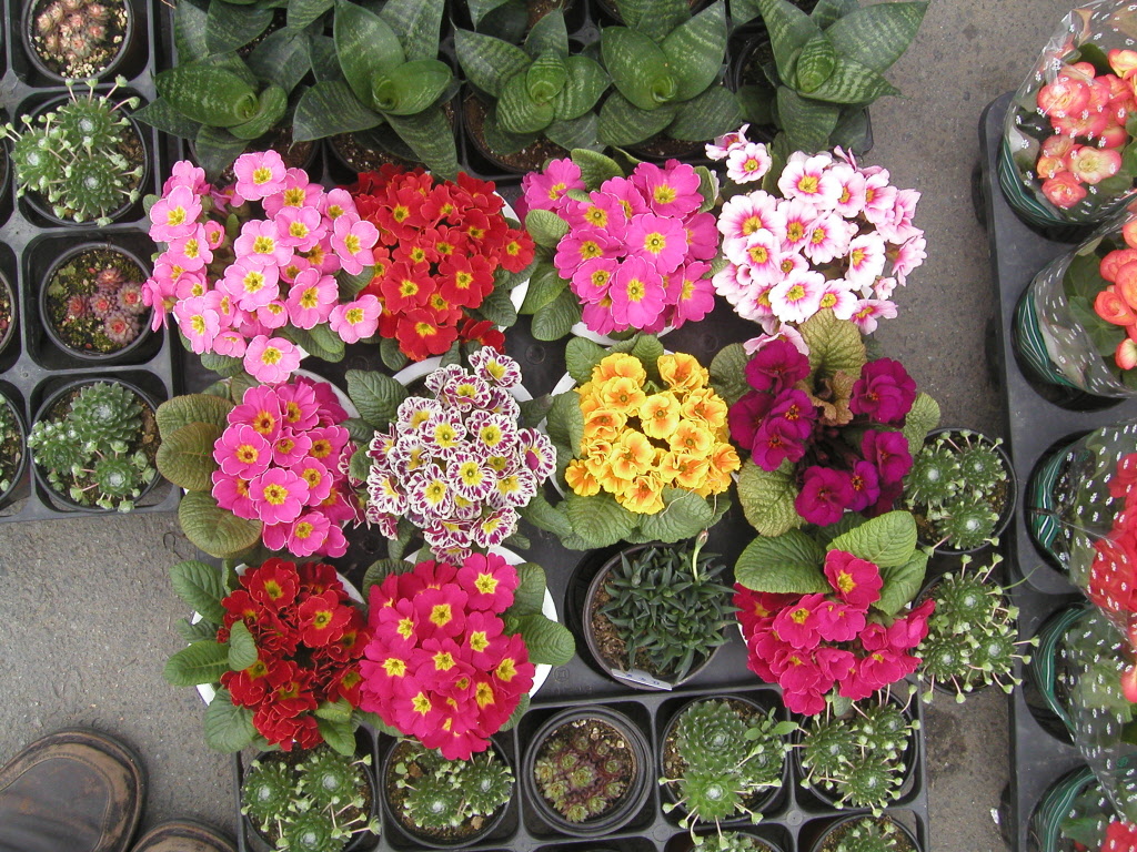 20090317-1.jpg