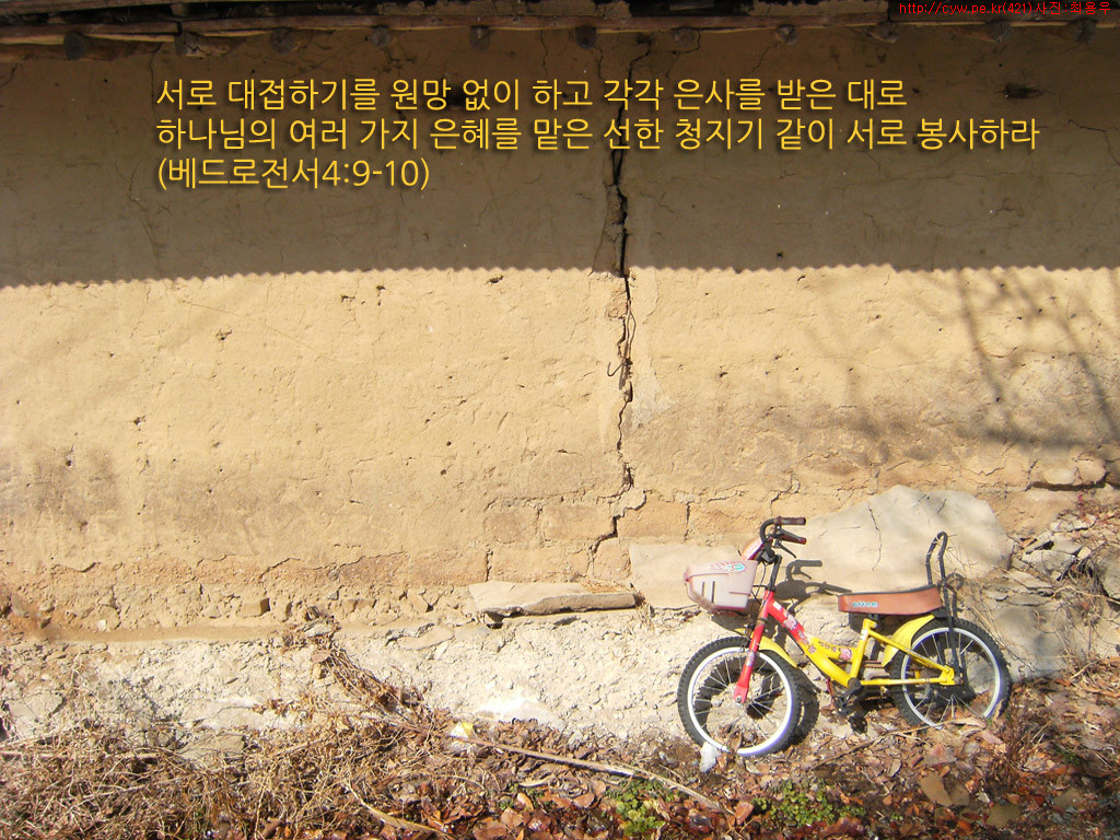 20090224.jpg