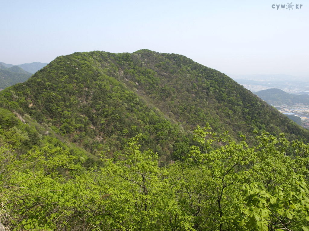 200904191.jpg