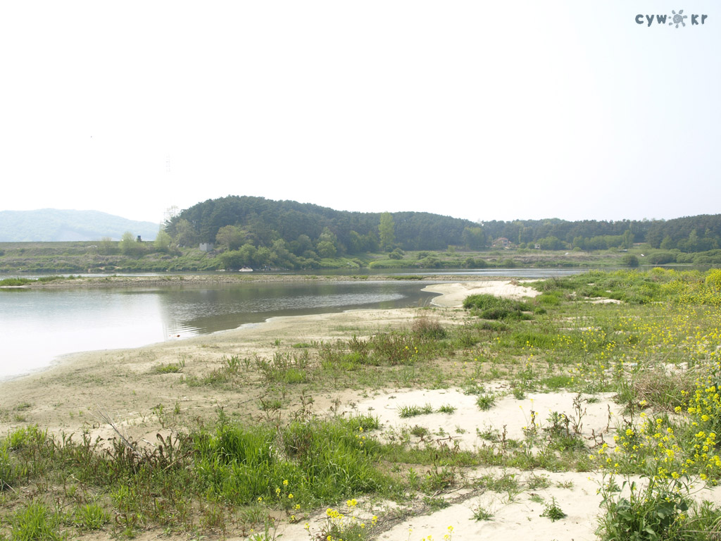 200904291.jpg